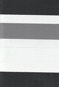 Рулонные шторы день-ночь для проема Салерно, серый 2002 купить в Домодедово с доставкой